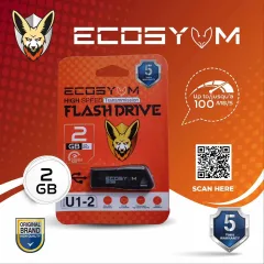 FLASH DISK USB ECOSYUM 2GB