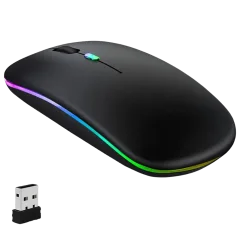 SOURIS WIRELESS W10
