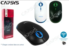 Souris Wireless W660