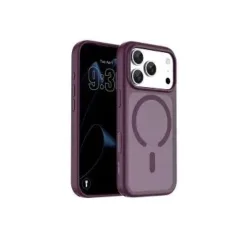 GREEN LION RIVIERA CASE 18 PM